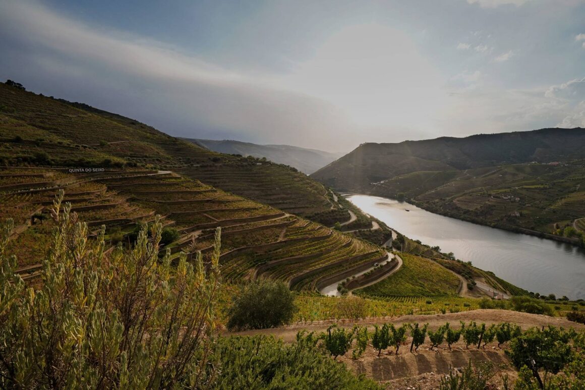 No S. Martinho, quer-se lume, castanhas e vinho