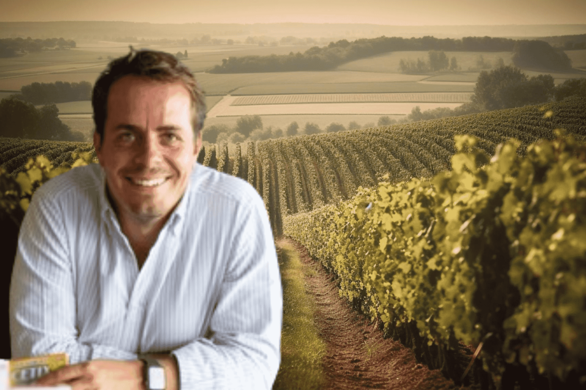O que há de “dvine” nas uvas? Hugo Luz é que sabe