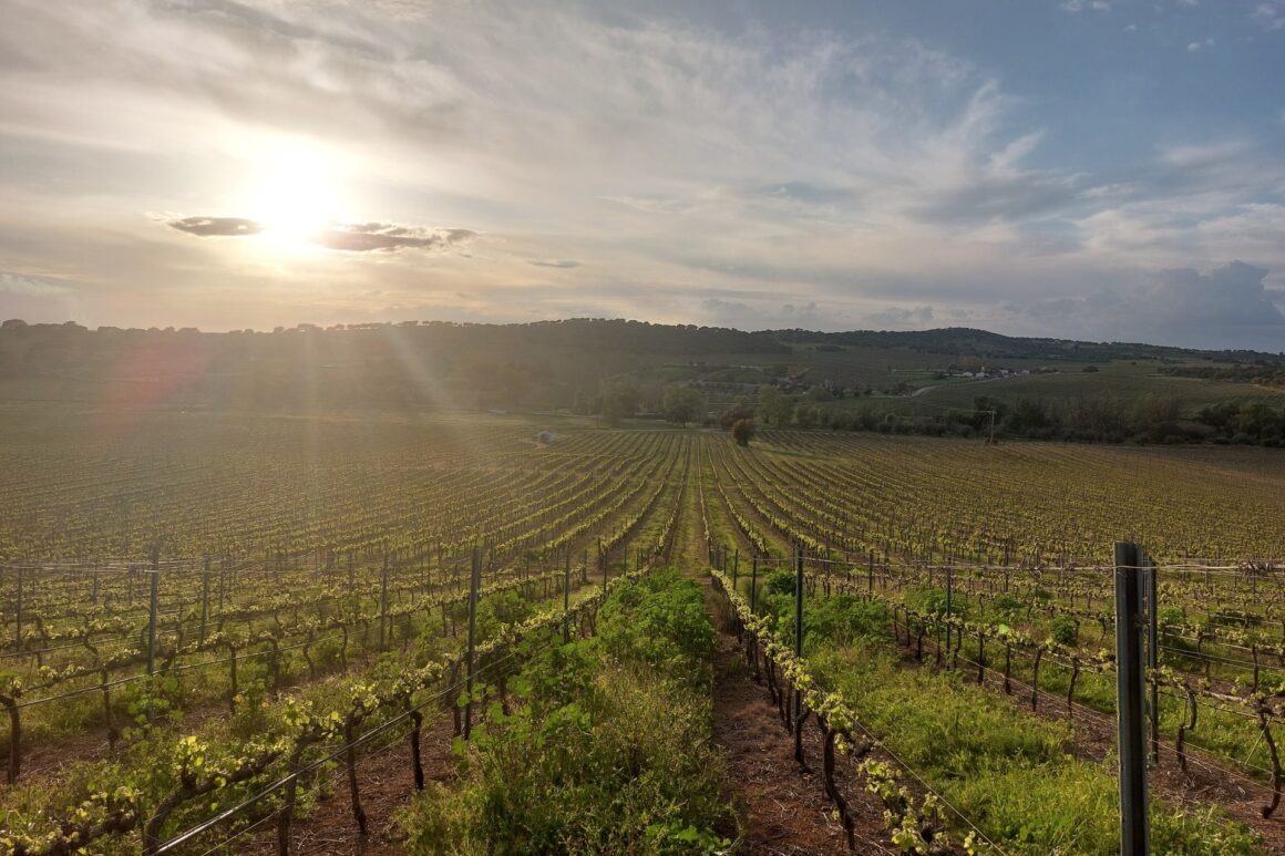 A festa dos 17 anos desta herdade começa com um sunset