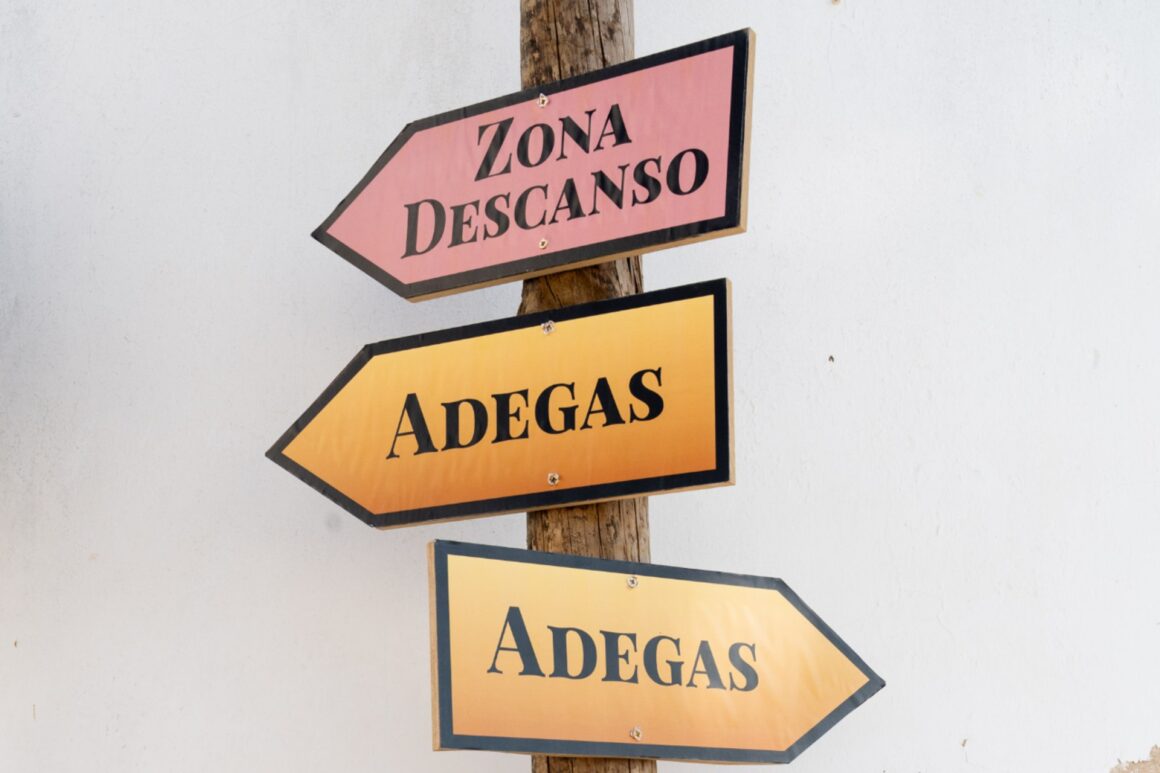 Provar vinhos é na vila
