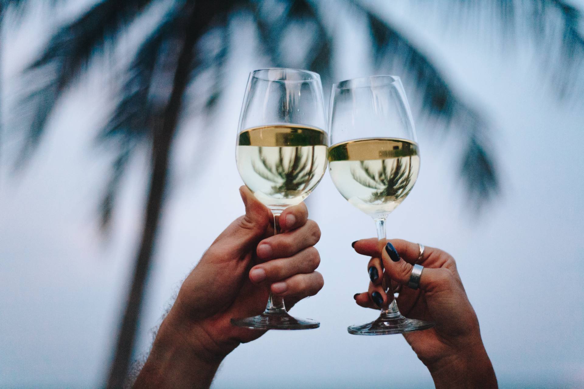 Vamos brindar aos novos vinhos?
