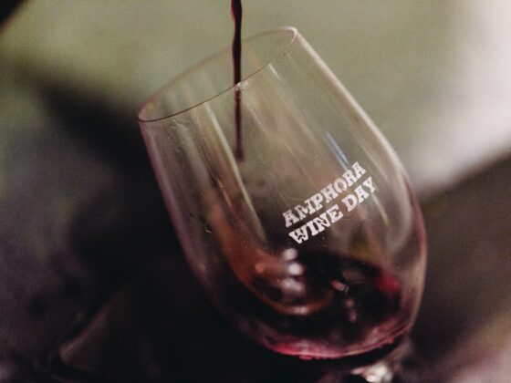 Vamos provar o vinho da talha?