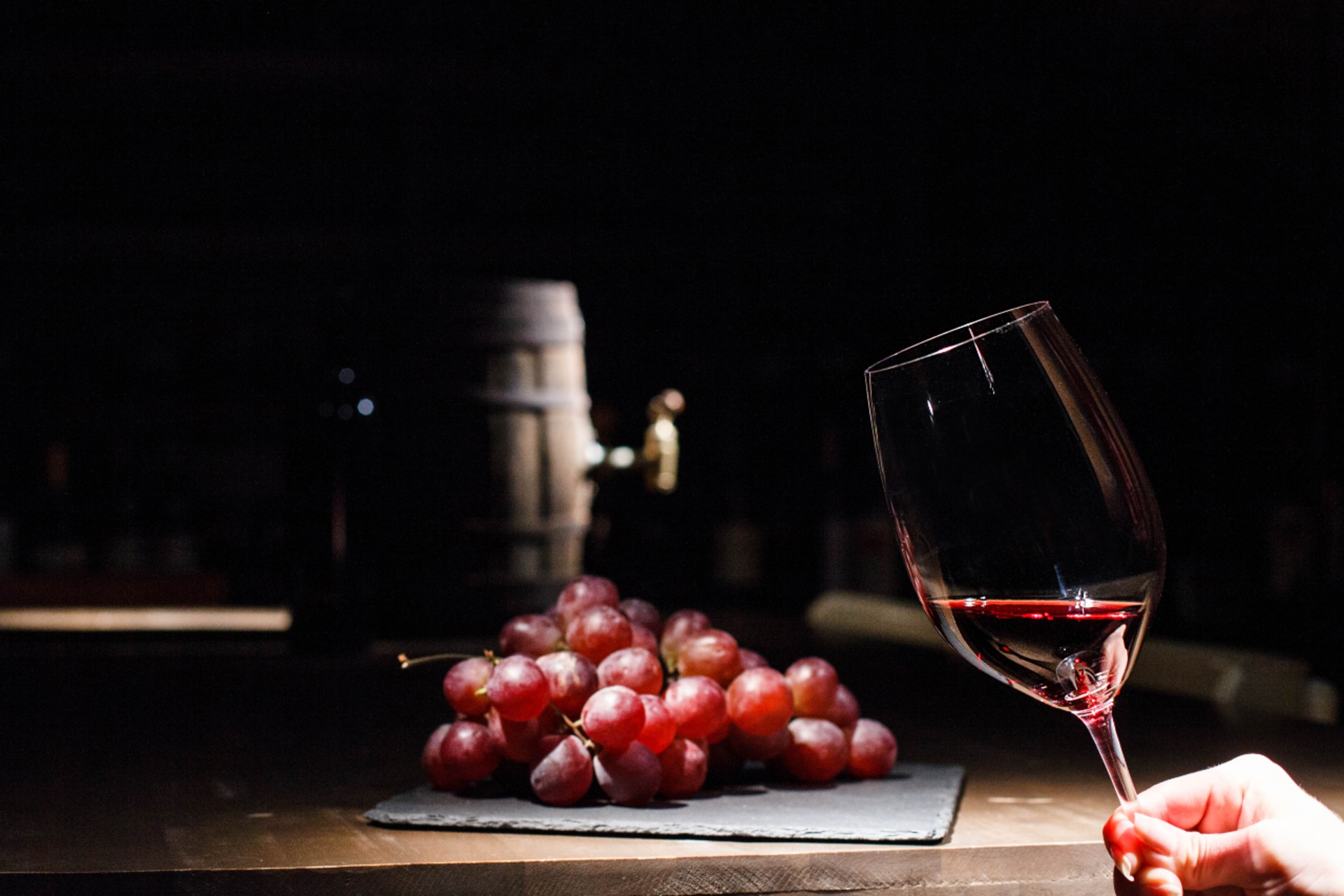 Há novos vinhos a descobrir