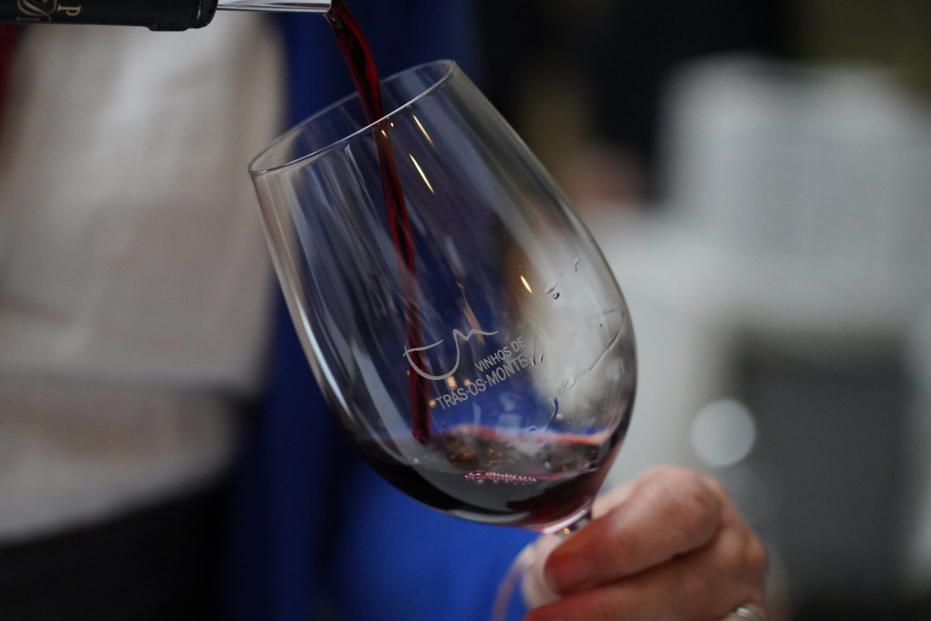 Os vinhos de Trás-os-Montes têm muito que se lhe diga