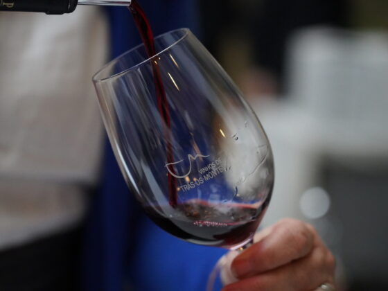 Os vinhos de Trás-os-Montes têm muito que se lhe diga