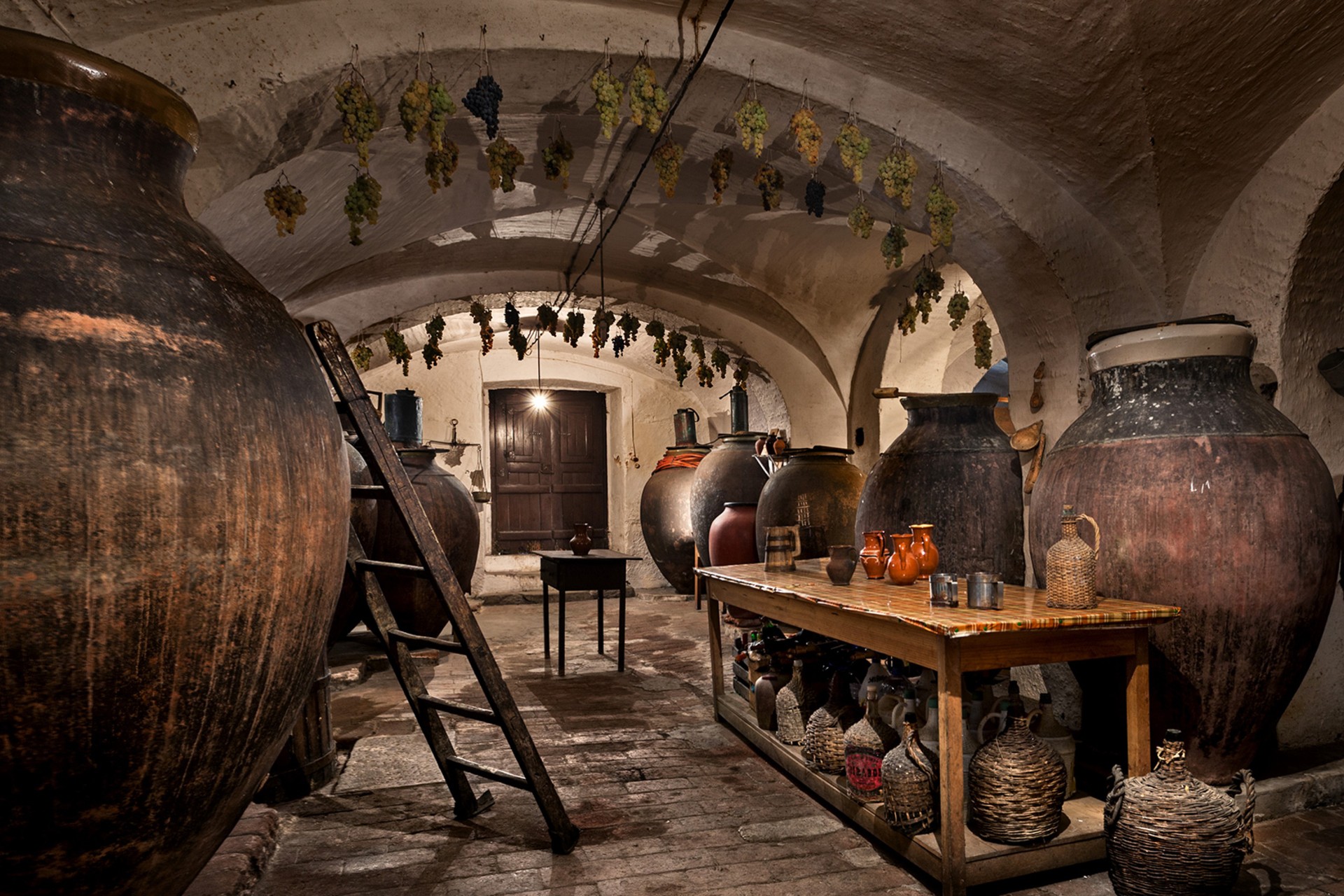 Fomos à adega, provamos o vinho e sentimos o entusiasmo