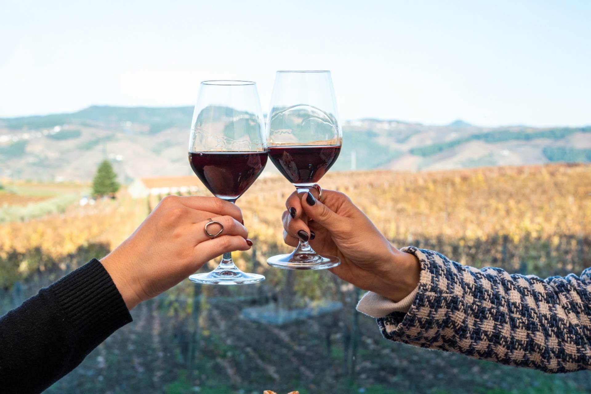 Celebrar o romance no Douro