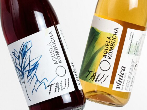 Branco ou tinto? Kombucha!