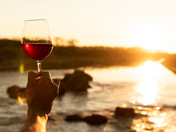 Fãs de vinho do Porto, 2024 é o ano!