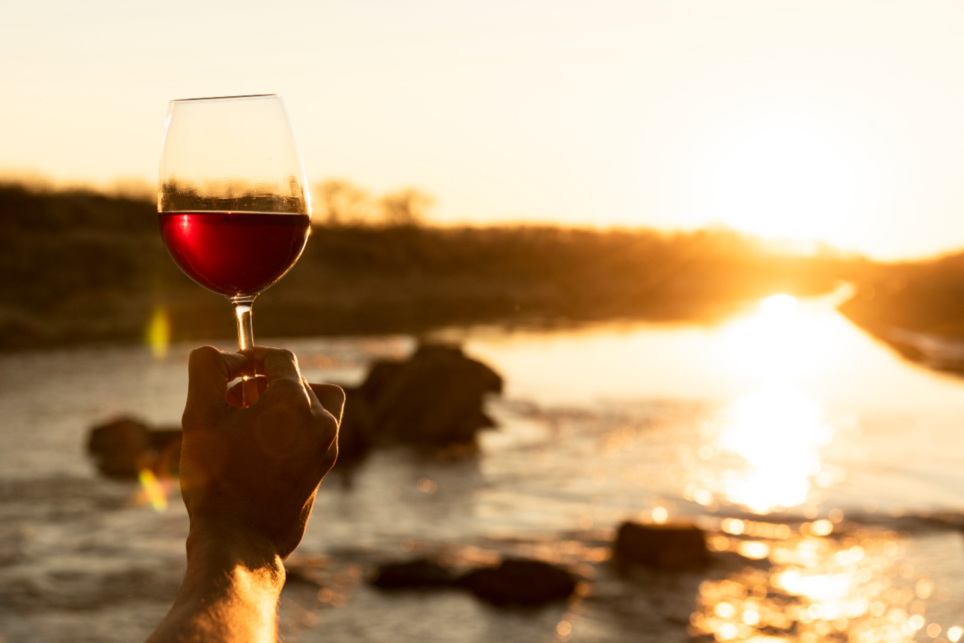 Fãs de vinho do Porto, 2024 é o ano!