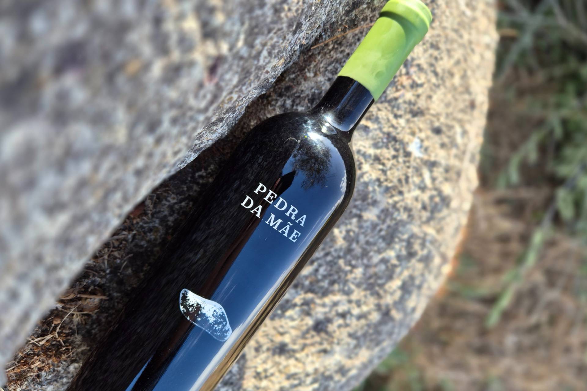 As mães também bebem vinho tinto?