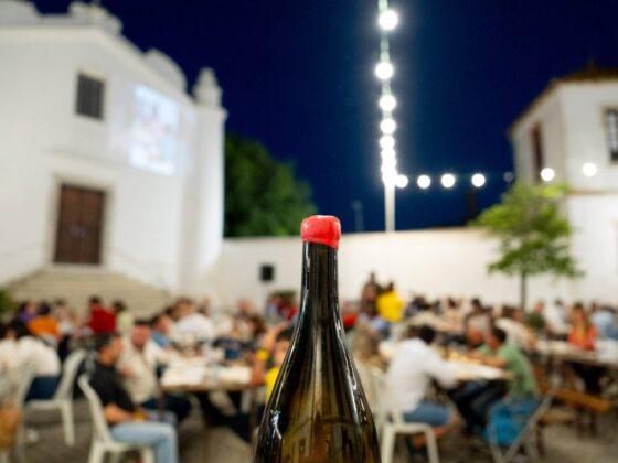 Há vinhos à prova na vila