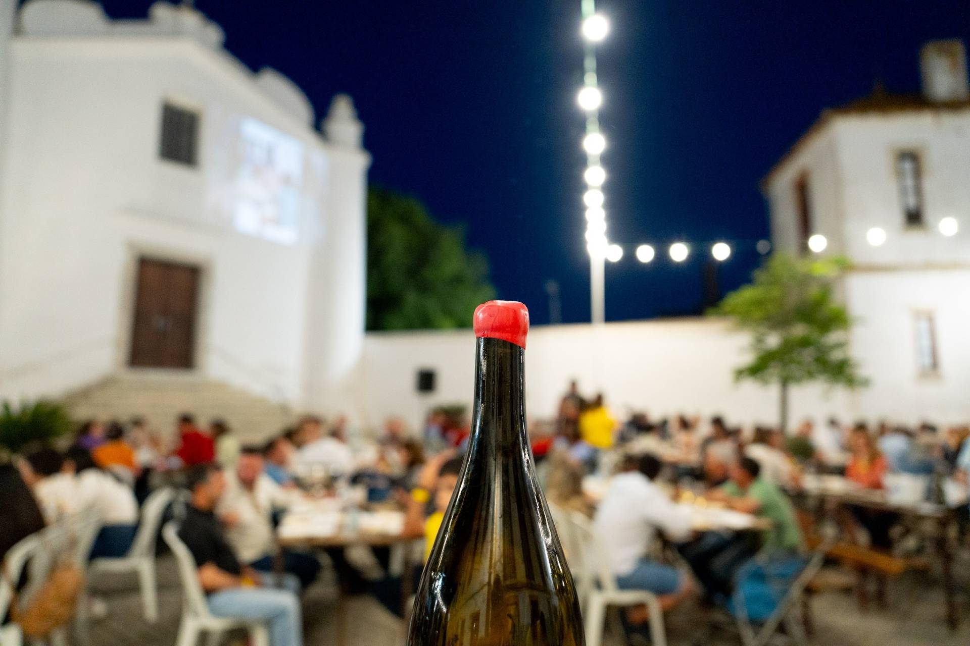 Há vinhos à prova na vila