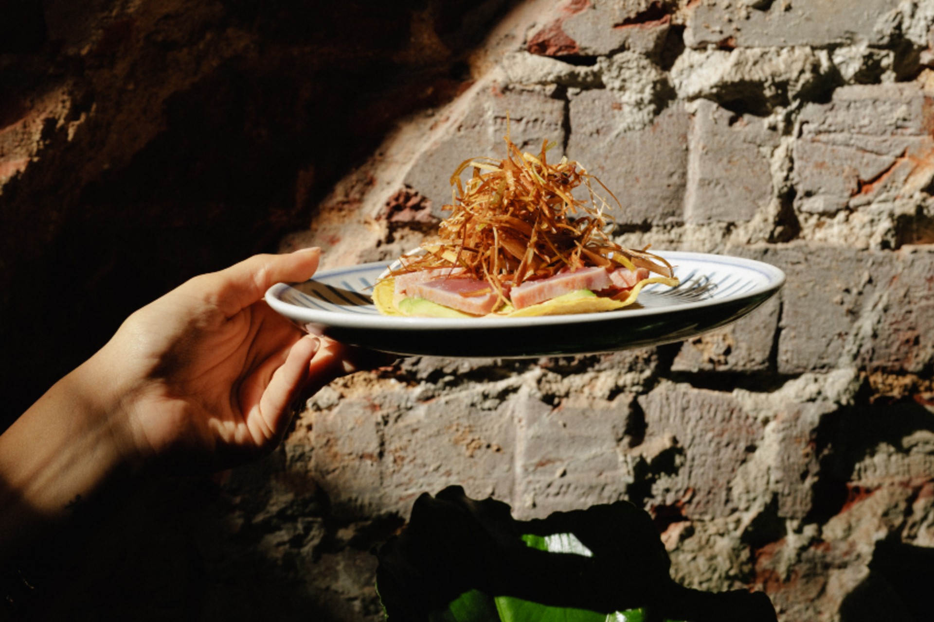 A carta é de partilha na nova cantina mexicana