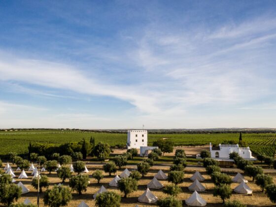 O Alentejo vai ter (dois) dias (em) grande