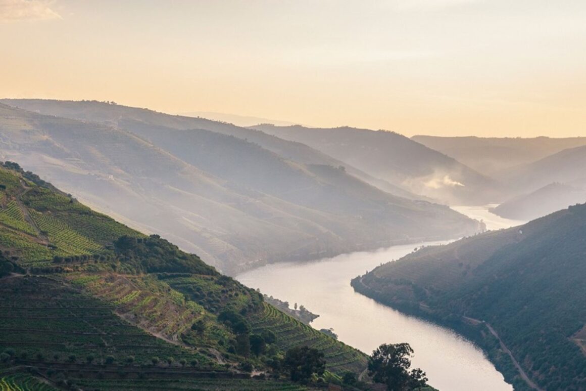 Do Douro chegam um vintage e um rosé