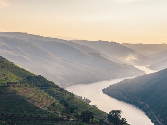Do Douro chegam um vintage e um rosé
