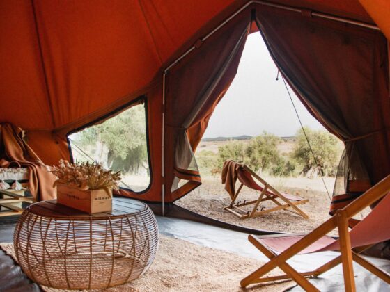 Glamping pop-up? É entre as oliveiras