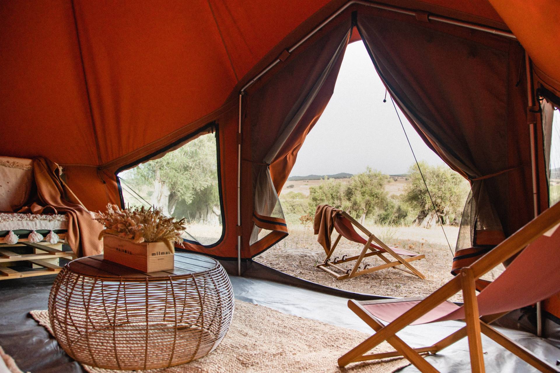 Glamping pop-up? É entre as oliveiras