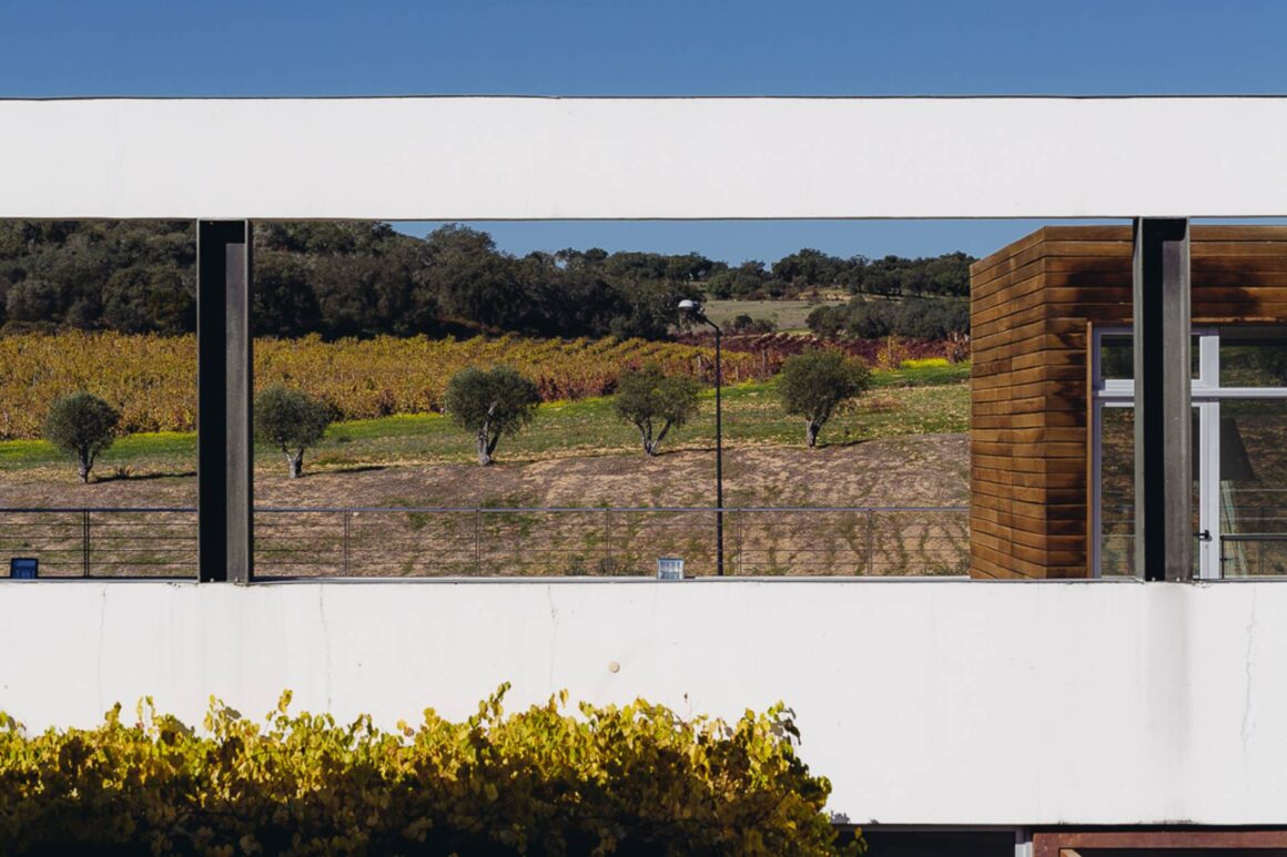 A cultura emerge na herdade