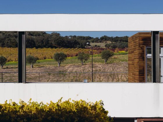A cultura emerge na herdade