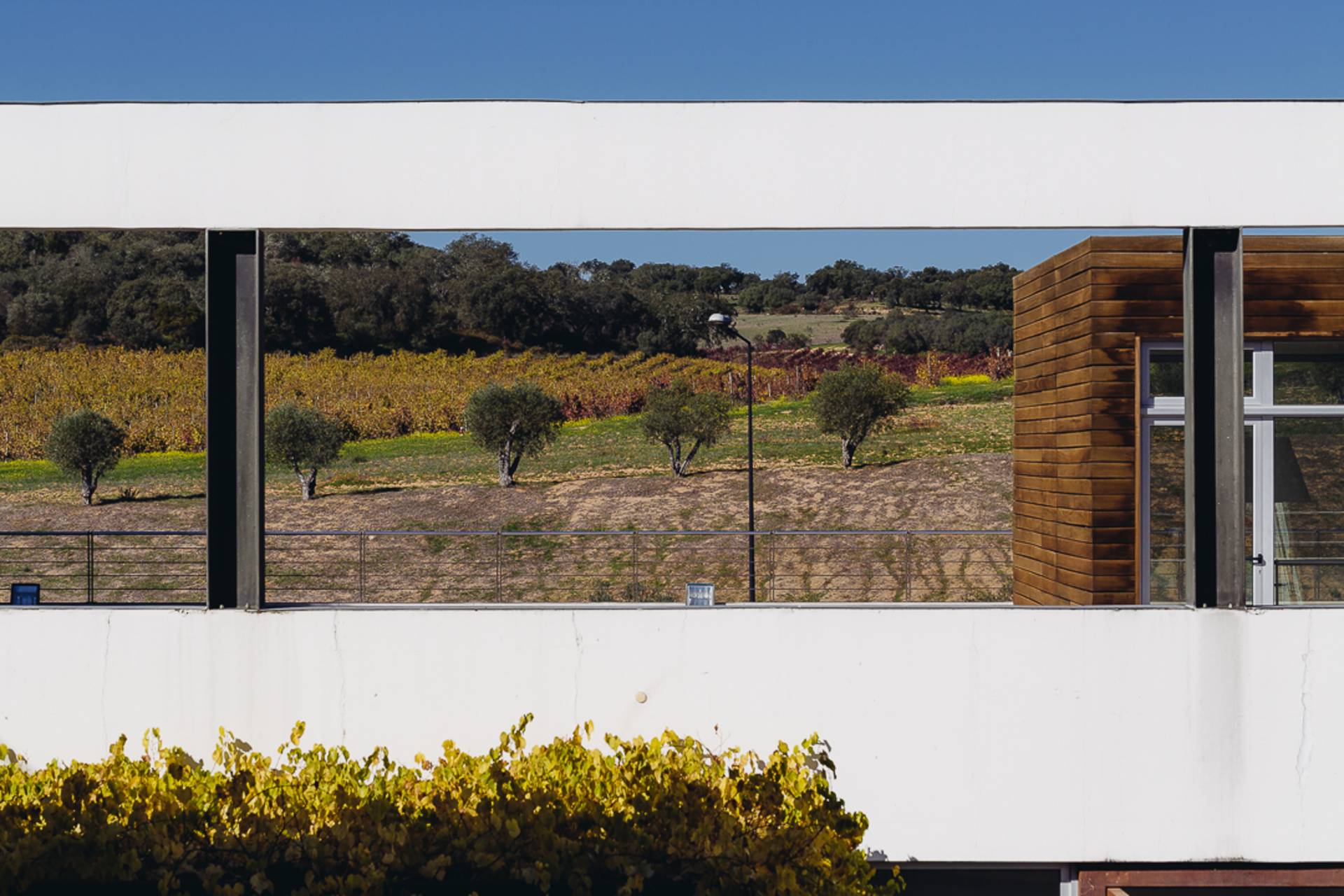 A cultura emerge na herdade