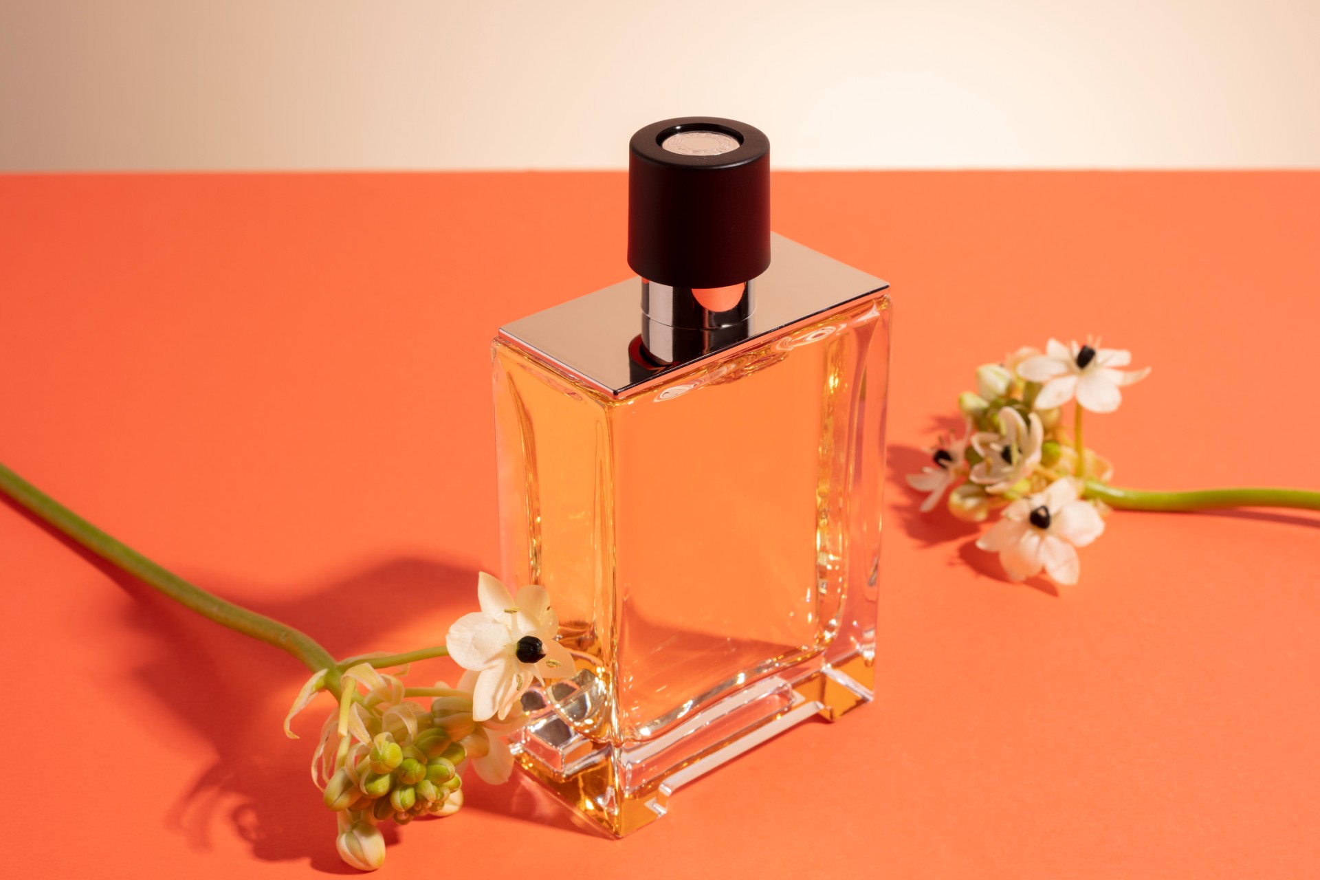 Estes perfumes cheiram a verão