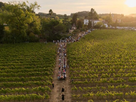 O summer fest ruma à Bairrada