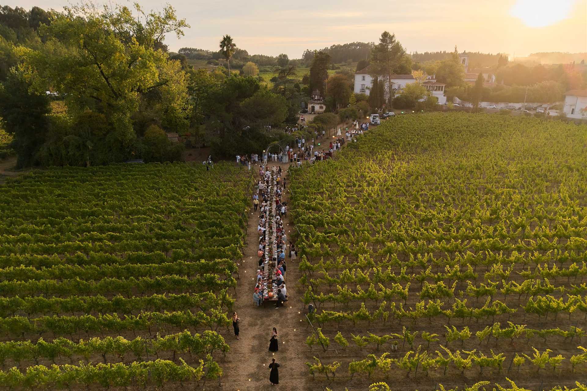 O summer fest ruma à Bairrada