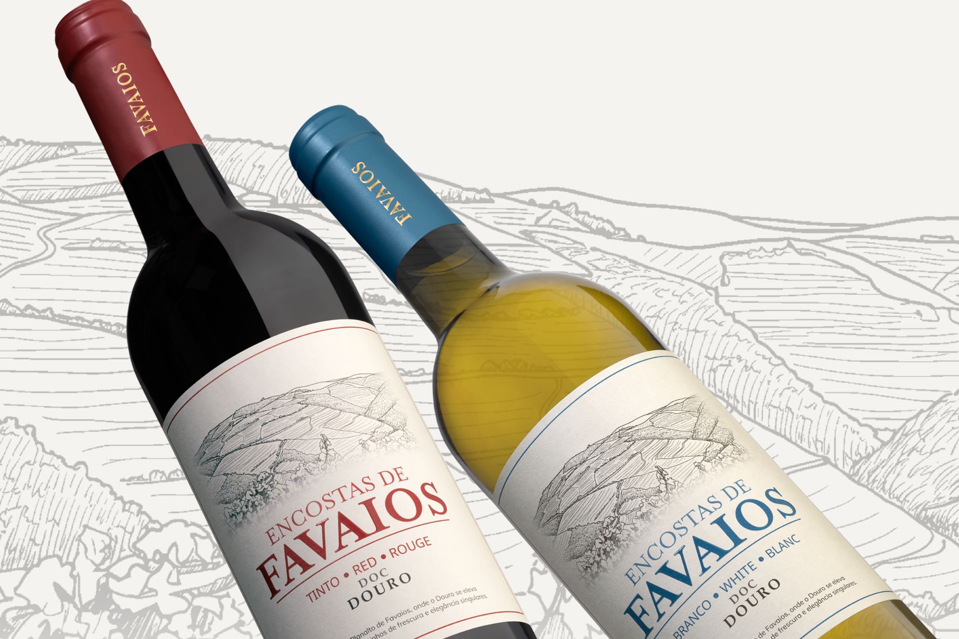 A alma do terroir vive na nova imagem